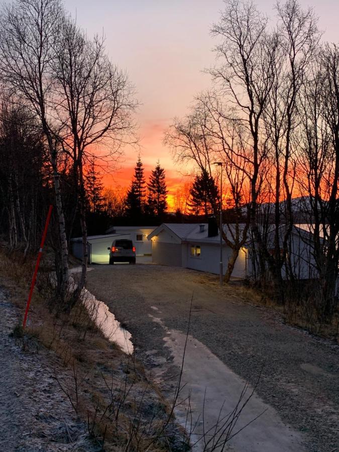 Hakoyveien 151, Tromso Hotel Bagian luar foto