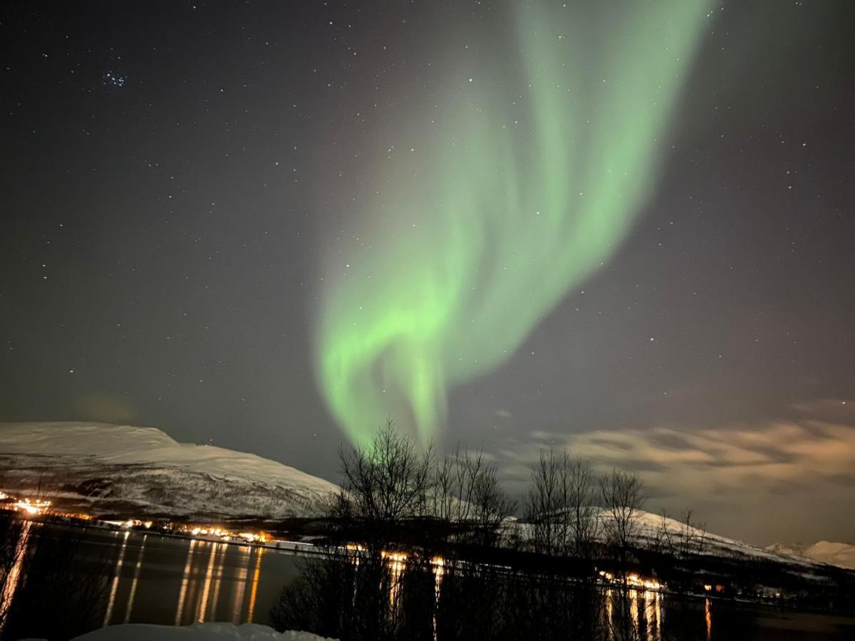 Hakoyveien 151, Tromso Hotel Bagian luar foto