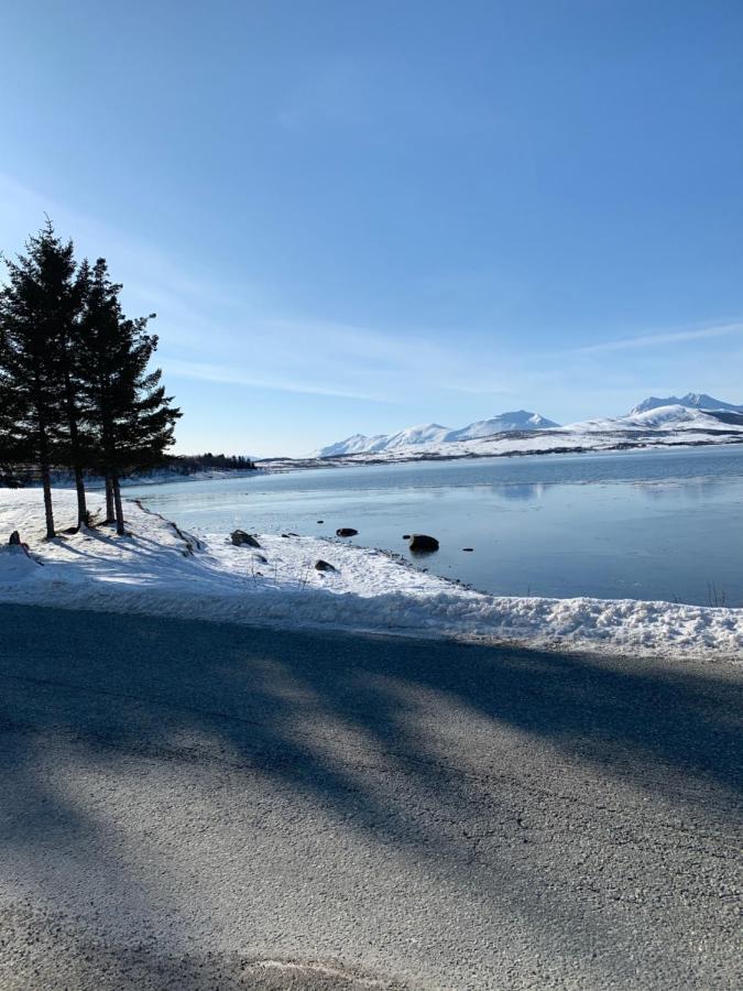 Hakoyveien 151, Tromso Hotel Bagian luar foto